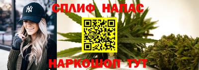 СК Пугачёв