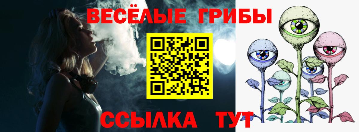 Псилоцибиновые грибы MAGIC MUSHROOMS Сланцы
